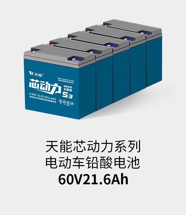 天能电池60v20ah